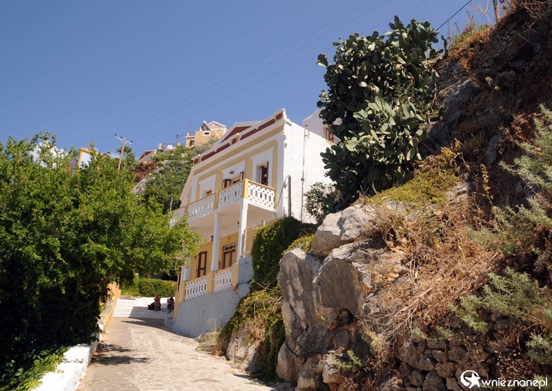 Grecka wyspa Symi. Dom, skała, kaktus. - foto: wnieznane.pl