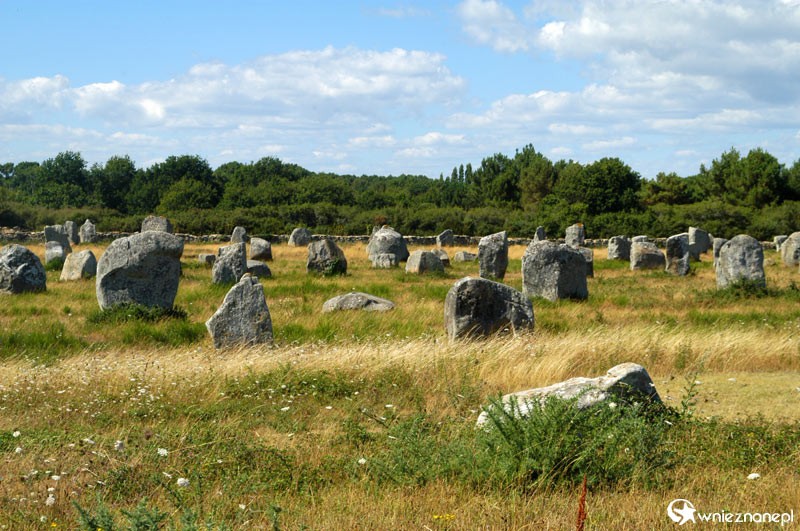 Bretania. Słynne megality w miejscowości Carnac. - foto: wnieznane.pl