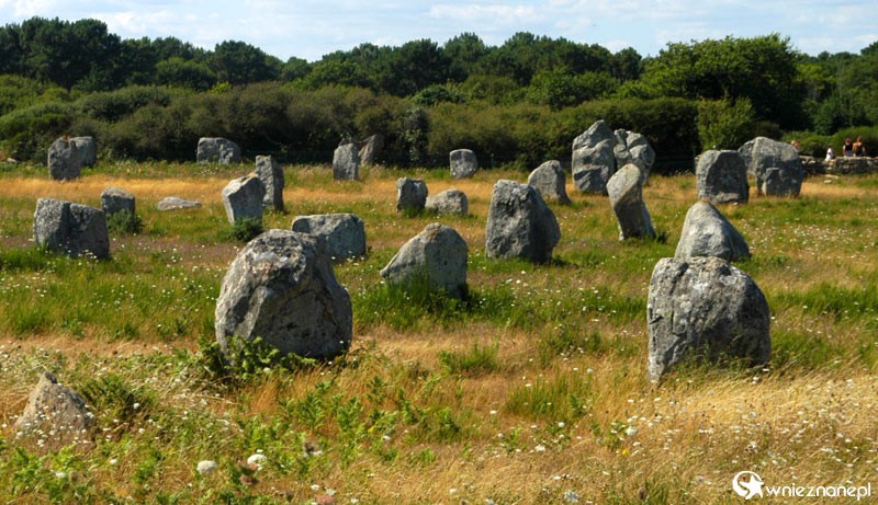 Bretania. Słynne megality w miejscowości Carnac.  - foto: wnieznane.pl