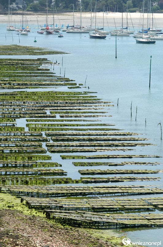 Bretania. Malownicza marina w La Trinite-sur-Mer. - foto: wnieznane.pl