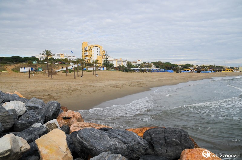 Costa del Sol. Piaszczysta plaża i palmy w Cabopino. - foto: wnieznane.pl Costa del Sol. Piaszczysta plaża i palmy w Cabopino. - foto: wnieznane.pl
