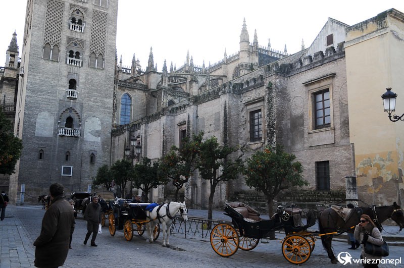Hiszpania. Dorożki przy katedrze w Sevilli. - foto: wnieznane.pl Hiszpania. Dorożki przy katedrze w Sevilli. - foto: wnieznane.pl