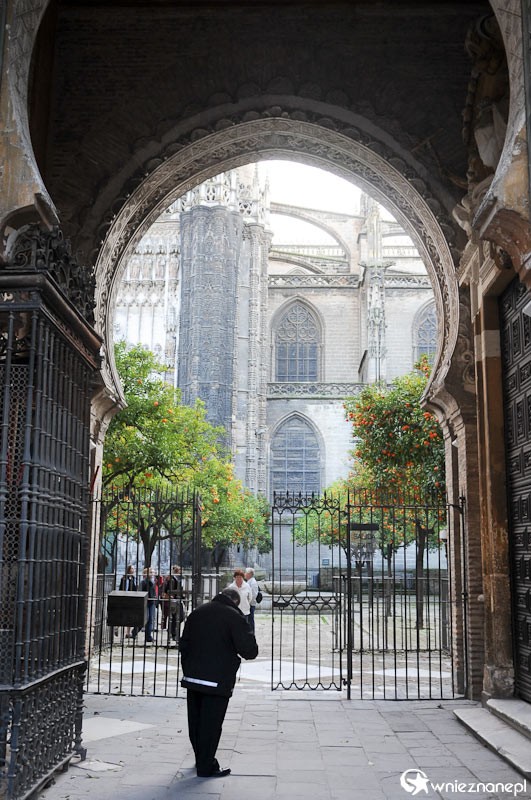 Hiszpania. Widok na imponującą katedrę w Sevilli. - foto: wnieznane.pl