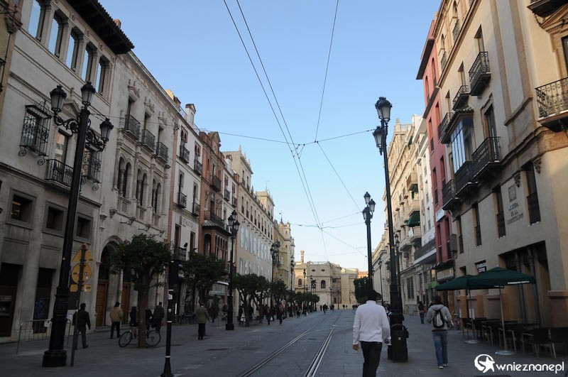 Hiszpania. Bulwar prowadzący do katedry w Sevilli. - foto: wnieznane.pl Hiszpania. Bulwar prowadzący do katedry w Sevilli. - foto: wnieznane.pl