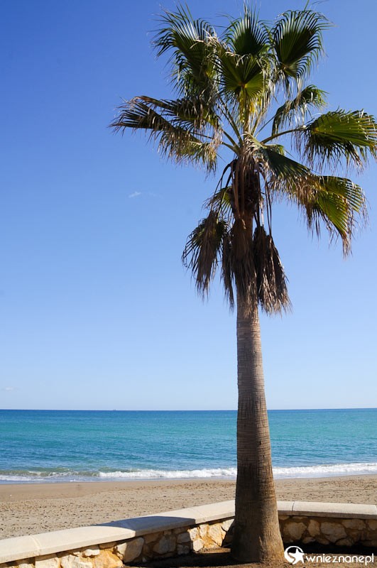 Costa del Sol. Fuengirola - raj na Ziemi. - foto: wnieznane.pl Costa del Sol. Fuengirola - raj na Ziemi. - foto: wnieznane.pl