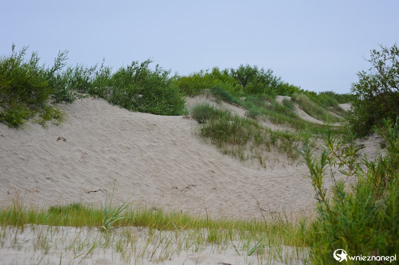Lipawa. Wydmy przy Morzu Bałtyckim. - foto: wnieznane.pl