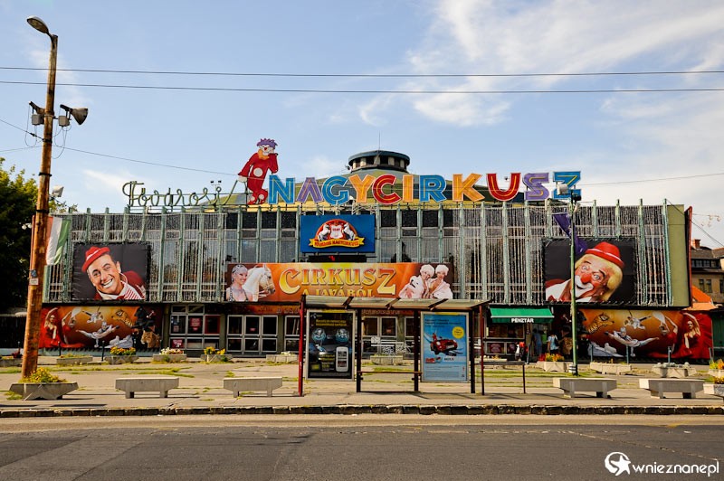 Budapeszteński cyrk. - foto: wnieznane.pl