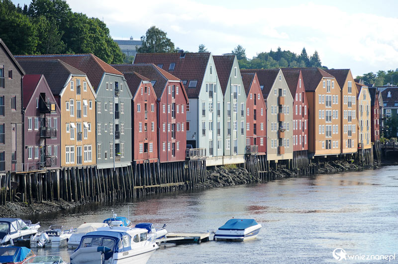 Trondheim. Bakklandet - zabytkowa starówka.  - foto: wnieznane.pl