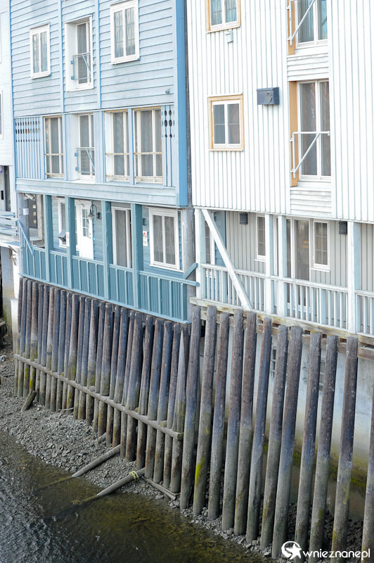 Trondheim. Bakklandet - zabytkowa starówka.  - foto: wnieznane.pl