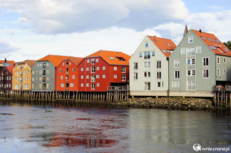 Trondheim. Bakklandet - zabytkowa starówka.  - foto: wnieznane.pl