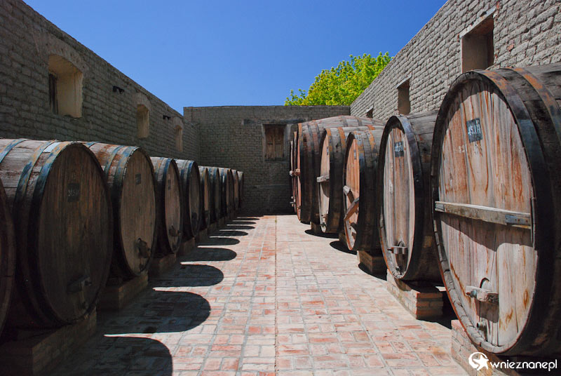 Argentyna. Cafayate. Na posesji jednej z winnic. - foto: wnieznane.pl