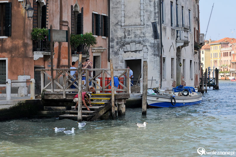 Wenecja. Budynki wzdłuż Canal Grande.  - foto: wnieznane.pl