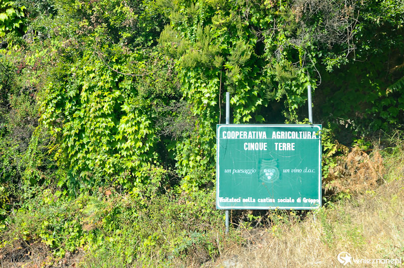 Wjazd do Cinque Terre. - foto: wnieznane.pl