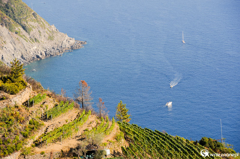 Wybrzeże Morza Śródziemnego niedaleko Riomaggiore. - foto: wnieznane.pl