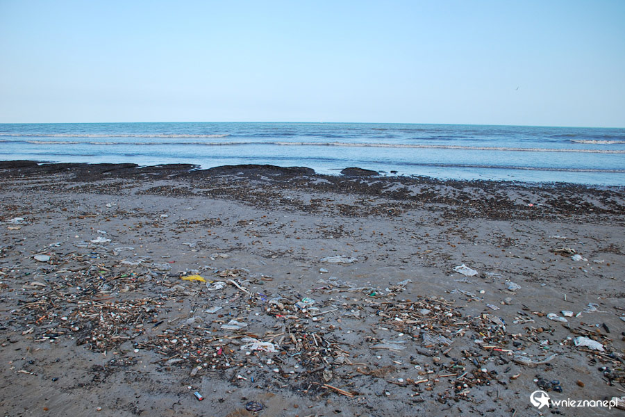 Walencja. Przykry widok miejskiej plaży. - foto: wnieznane.pl