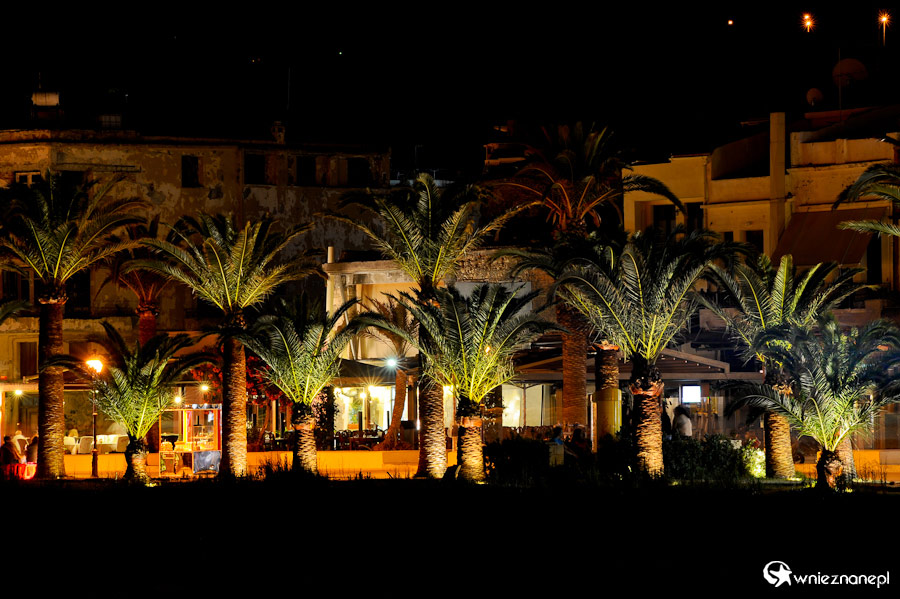 Wyspa Kreta. Rethymnon nocą. Ładnie oświetlone palmy przy porcie. - foto: wnieznane.pl Wyspa Kreta. Rethymnon nocą. Ładnie oświetlone palmy przy porcie. - foto: wnieznane.pl