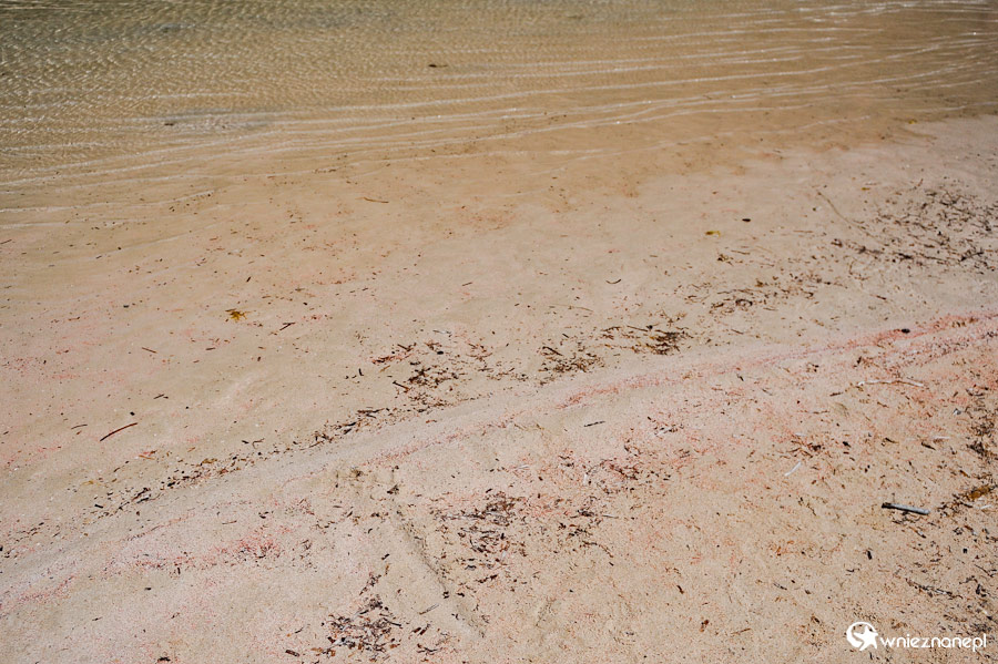 Wyspa Kreta. Różowy piasek w lagunie Balos. - foto: wnieznane.pl Wyspa Kreta. Różowy piasek w lagunie Balos. - foto: wnieznane.pl