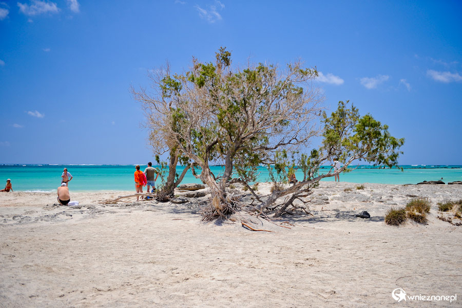 Wyspa Kreta. Wspaniały krajobraz Elafonisi. - foto: wnieznane.pl