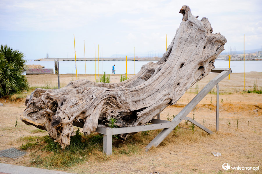 Wyspa Kreta. Stare drzewo przy porcie w Rethymnonie. - foto: wnieznane.pl Wyspa Kreta. Stare drzewo przy porcie w Rethymnonie. - foto: wnieznane.pl