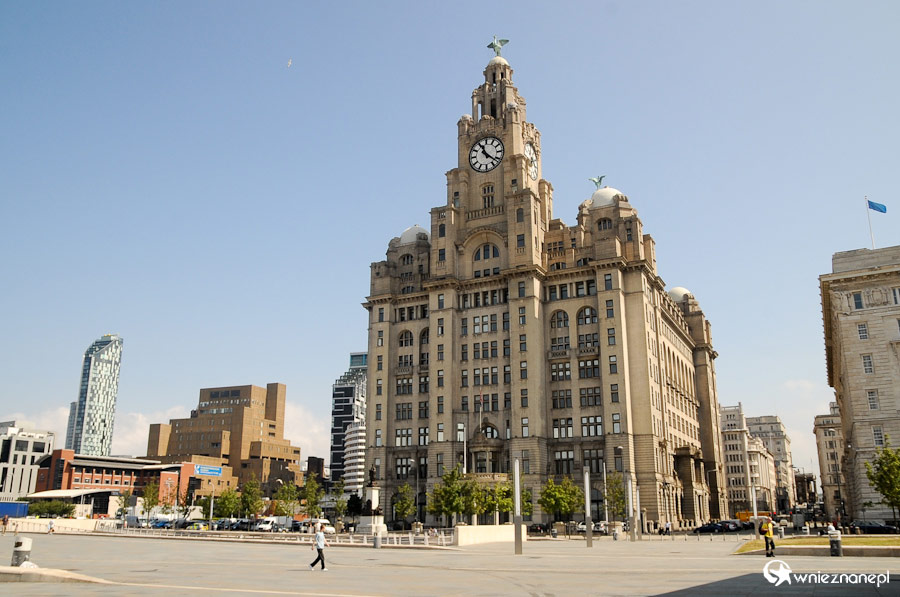 Liverpool. Zabytkowy budynek Royal Liver. - foto: wnieznane.pl