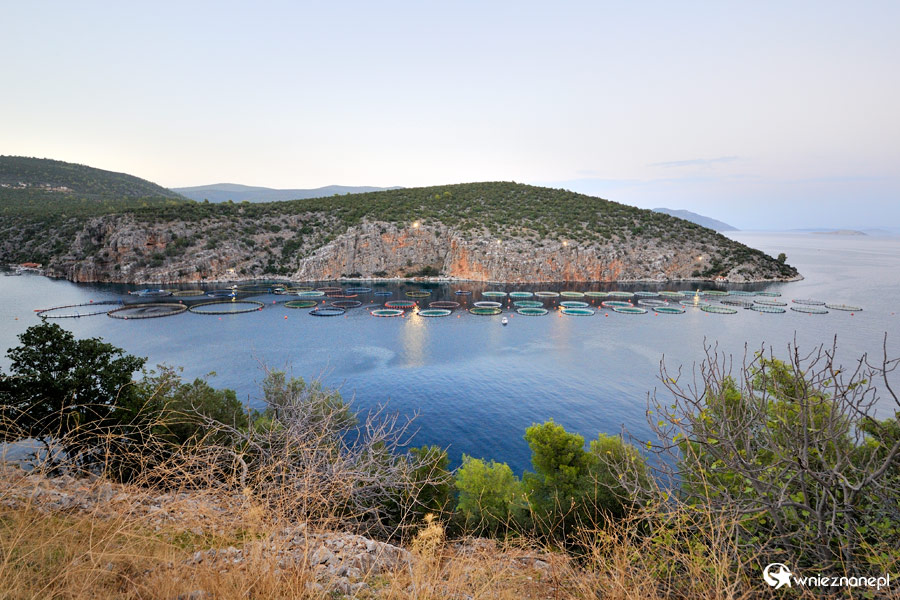 Peloponez. Akwakultura w zatoce gdzieś na wschodnim wybrzeżu półwyspu. - foto: wnieznane.pl Peloponez. Akwakultura w zatoce gdzieś na wschodnim wybrzeżu półwyspu. - foto: wnieznane.pl