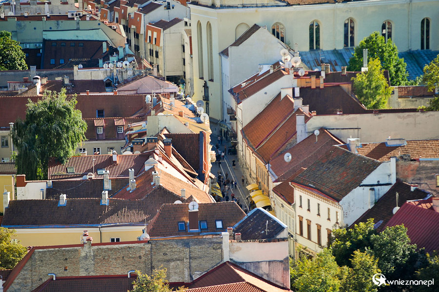 Wilno. Stare Miasto widziane z Baszty Giedymina. - foto: wnieznane.pl