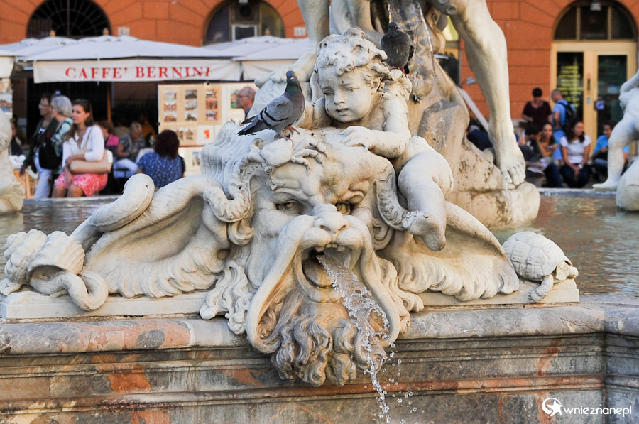 Rzym. Fontanna Neptuna na Piazza Navona. - foto: wnieznane.pl