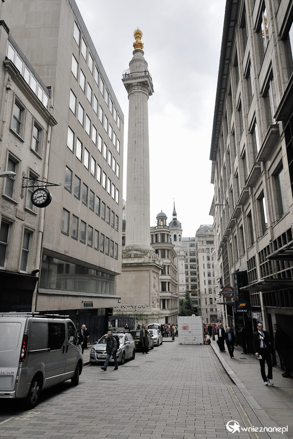 Londyn. The Monument w otoczeniu biurowców. - foto: wnieznane.pl Londyn. The Monument w otoczeniu biurowców. - foto: wnieznane.pl
