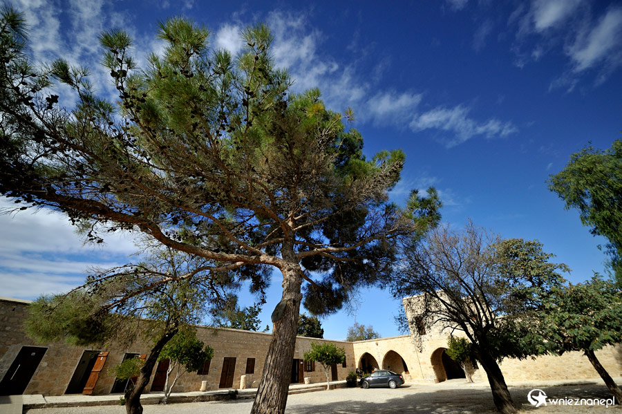 Cypr zimą. Świątynia Afrodyty niedaleko Petra tou Romiou. - foto: wnieznane.pl