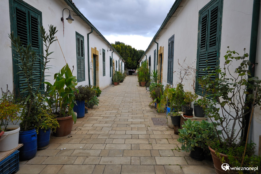 Cypr zimą. Strefa zdemilitaryzowana w Nikozji - granica pomiędzy Cyprem i okupowaną przez Turków częścią, czyli Cyprem Północnym. - foto: wnieznane.pl