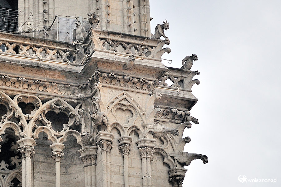 Paryż. Katedra Notre-Dame i słynne gargulce. - foto: wnieznane.pl