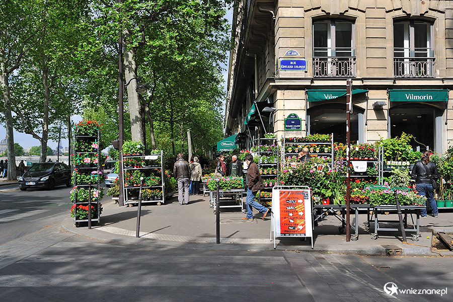 Paryż. Sklep z kwiatami w centrum miasta. - foto: wnieznane.pl
