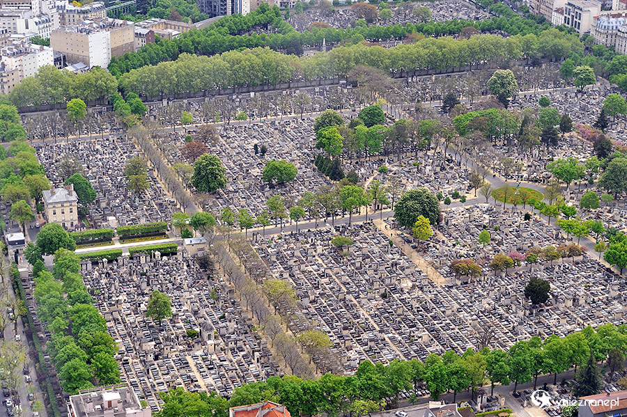 Paryż. Cmentarz Montparnasse. - foto: wnieznane.pl