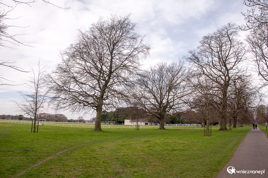 Dublin. Phoenix Park sprzyja spacerom. - foto: wnieznane.pl