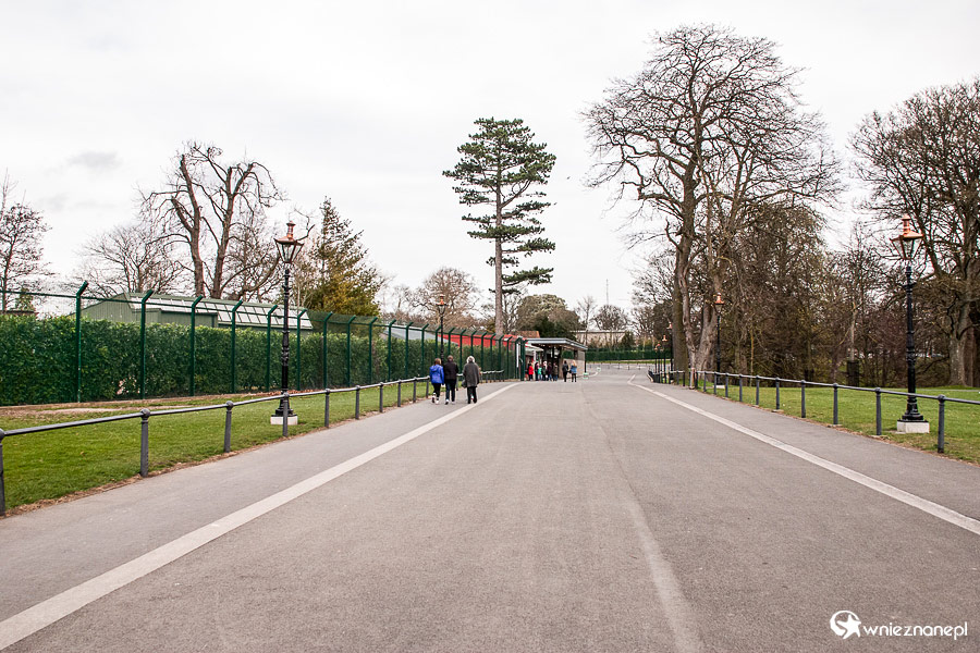 Dublin. Główna ścieżka wiodąca do ogrodu zoologicznego. - foto: wnieznane.pl