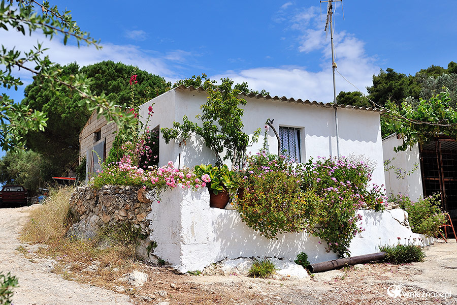 Zakynthos. Mały, biały domek gdzieś w głębi wyspy. - foto: wnieznane.pl