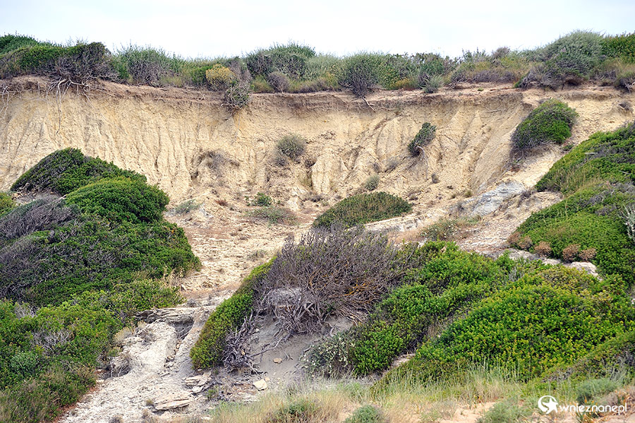 Zakynthos. Malownicze otoczenie plaży Gerakas, stanowiącej miejsce lęgowe żółwi. - foto: wnieznane.pl