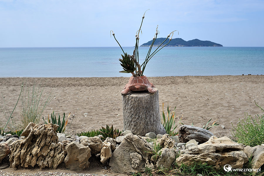 Zakynthos. Dafni Beach to jedna z plaż, na których żółwie składają jaja. Jest trudno dostępna i dzięki temu mniej skażona masową turystyką. - foto: wnieznane.pl