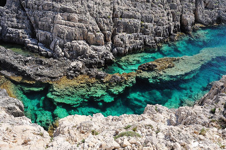 Zakynthos. Wspaniała zielona woda w Korakonisi. - foto: wnieznane.pl