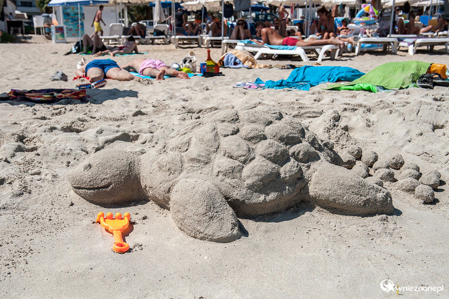 Cypr latem. Żółw z piasku na plaży Nissi Beach. - foto: wnieznane.pl