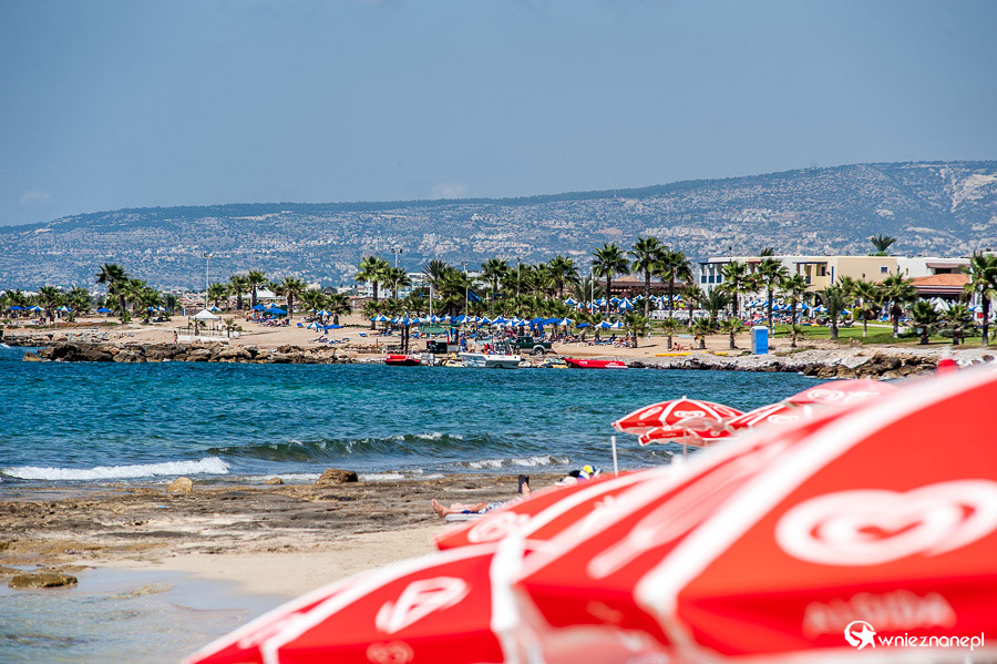 Cypr latem. Plaża Faros Beach w Pafos. - foto: wnieznane.pl