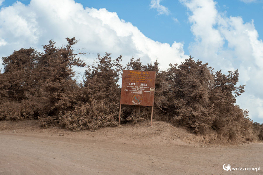 Cypr latem. Droga do plaży Lara Beach na Półwyspie Akamas. To miejsce znajduje się pod ochroną. - foto: wnieznane.pl