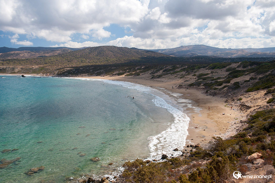 Cypr latem. Piaszczysta plaża Lara Beach na Półwyspie Akamas to miejsce, gdzie żółwie składają jaja. - foto: wnieznane.pl Cypr latem. Piaszczysta plaża Lara Beach na Półwyspie Akamas to miejsce, gdzie żółwie składają jaja. - foto: wnieznane.pl