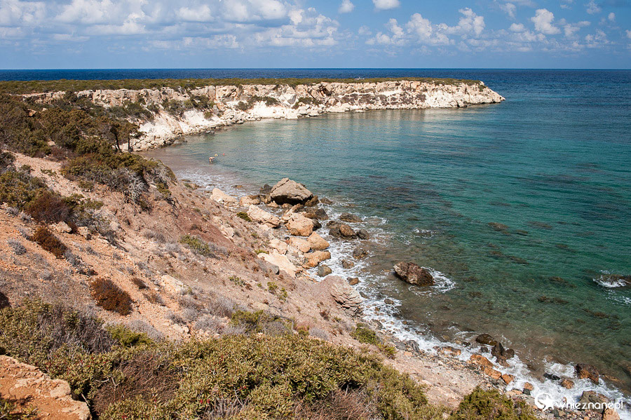 Cypr latem. Skaliste wybrzeże Półwyspu Akamas. - foto: wnieznane.pl Cypr latem. Skaliste wybrzeże Półwyspu Akamas. - foto: wnieznane.pl