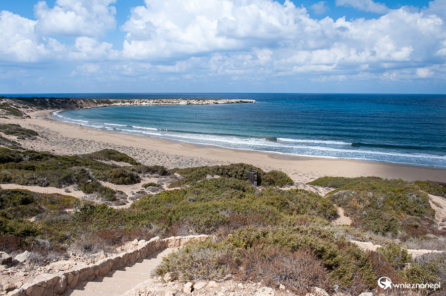 Cypr latem. Piaszczysta plaża Lara Beach na Półwyspie Akamas to miejsce, gdzie żółwie składają jaja.  - foto: wnieznane.pl
