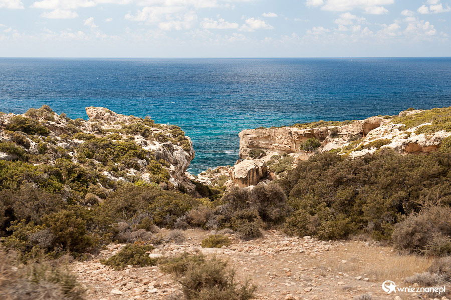 Cypr latem. Skalisty krajobraz Półwyspu Akamas. - foto: wnieznane.pl