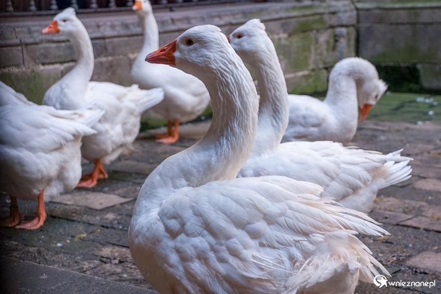 Barcelona. - foto: wnieznane.pl