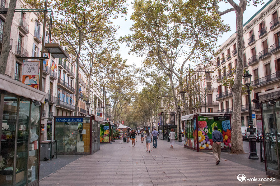 Barcelona. Wrześniowy poranek na La Rambla. - foto: wnieznane.pl Barcelona. Wrześniowy poranek na La Rambla. - foto: wnieznane.pl