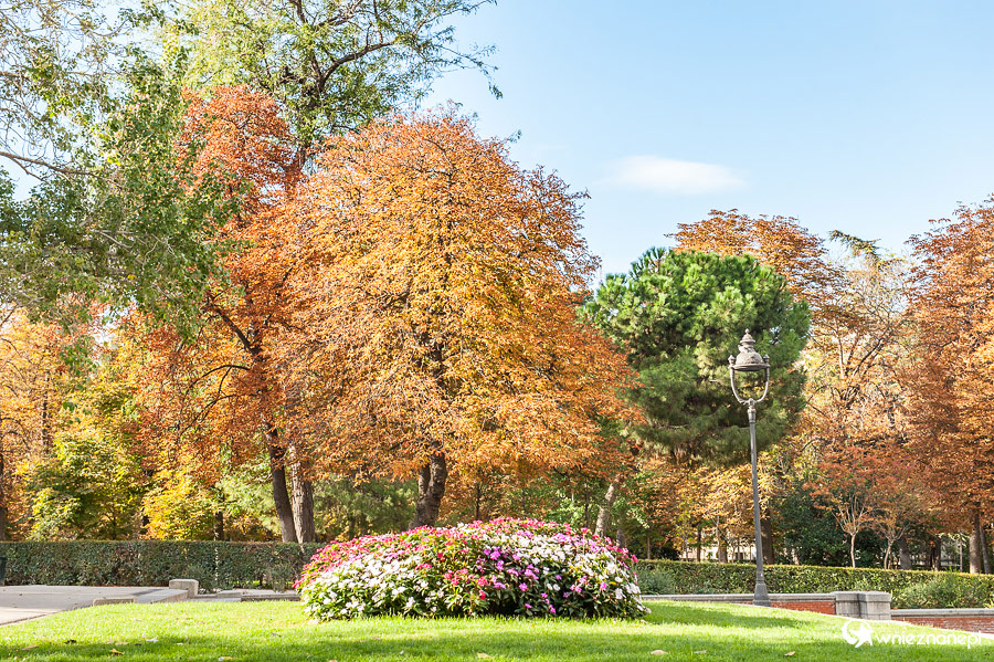 Madryt. W Parku Retiro. - foto: wnieznane.pl