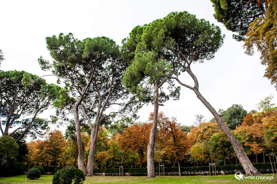 Madryt. W Parku Retiro. - foto: wnieznane.pl